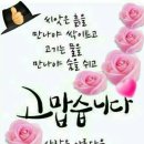 성당초교 이미지