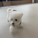 똑독트레이닝스쿨 이미지