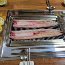 솔토장어 이미지