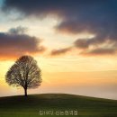 집1972신논현역점