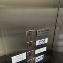 레이저 | 압구정 루비레이저 내돈내산 솔직후기(사진주의)