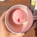 다산농원 | 대구 딸기체험 다산딸기조합농원 딸기체험+간식,먹이체험,모래놀이