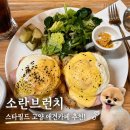 쌍용자동차고양삼송서비스 | 삼송 스타필드 고양 브런치 추천! 애견동반 가능한 소란 브런치 내돈내산 후기