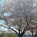 갓마을가든 | 춘천 신북 카페 추천｜아이랑 가기 좋은 이색 카페, 파머스 가든