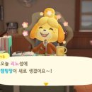 수리포장 이미지