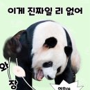 벨라 모먼트 이미지