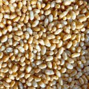 태평선식 이미지