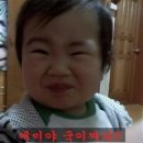 잭슨빌 이미지
