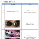 힐스타운 동물병원 이미지