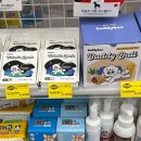 금화애견 이미지