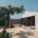 탐라는일상 이미지