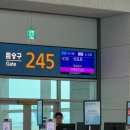 769 | [삿포로/오사카 9박10일] 대한항공 KE769 인천 삿포로, A321-neo 프레스티지 후기