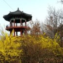 연일정씨배산문중 | 제 고향 전북 익산 배산에 관하여~~~