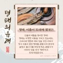 명태이야기 이미지