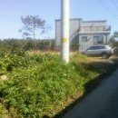 회현농장 이미지