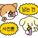 코지(COZY) 이미지