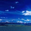 푸르른날 이미지