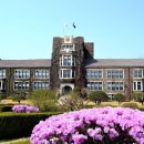 연세대학교 이미지