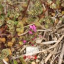 조기수농장 이미지