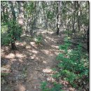 응봉골프연습장 이미지