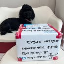 댕이밥상 이미지