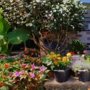 유치자연휴양림 수인관 이미지