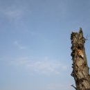 남중동-55 이미지