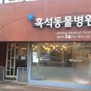 흑석24시동물병원 네이버블로그
