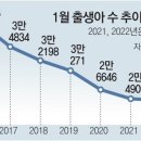 그냥 심심해서요. (14081) 1월 출생아 2만4598명 이미지