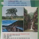 2024.3.23(토)나무와 쉼 투어 "포천 초과리 오리나무, 한탄강 주상절리 길" 이미지