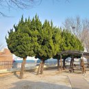 (주)수목조경 이미지