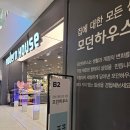 모던하우스 봄 플라워 가든 + 고무나무 구매 후기