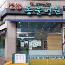 풍동 동물병원 | 고양 풍동 동물병원 풍동동물병원 진료시간 접근성 이용후기