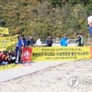 도원 태양광발전소 이미지