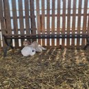 옹기종기 이미지