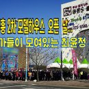 최윤정부동산