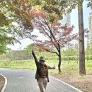 🎂제200회둘레길/양재시민의숲 이미지