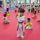 경희대 한 태권도장 네이버블로그