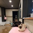 또바기PC 네이버블로그