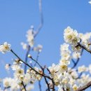 향기4로 이미지