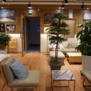 까페지니 이미지