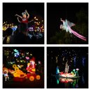 심천 | 중국 eSIM 무제한 데이터, VPN 필요없는 로밍도깨비 홍콩 심천 여행 후기