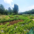 행정사사무소 활로 이미지