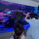 국립해양박물관 | 부산영도 수족관 있는 해양문화공간 국립해양박물관 아이랑 방문후기