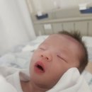 40대 최재원운영부회장이 쌍둥이 득녀기념으로 식사찬조 했습니다. 이미지