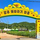 축제마을