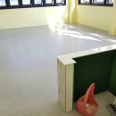 브루하하 이미지