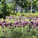 코끼리유통 이미지