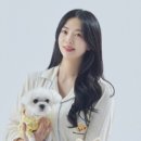 101애견유치원 이미지