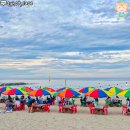 어달 해변포차,바다소리 ASMR이 안주가 따로 없다 이미지